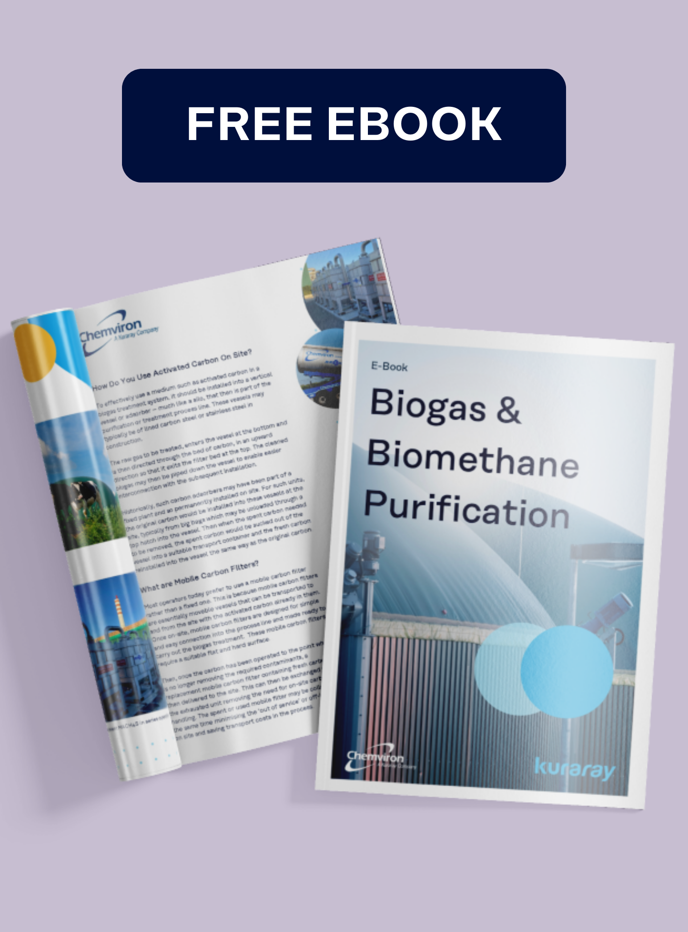 eBook Biogas